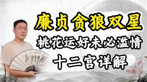 廉貞貪狼名人|双星组合之廉贞贪狼 – 紫微麥